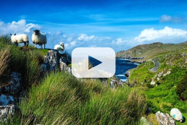 Wild Atlantic Way